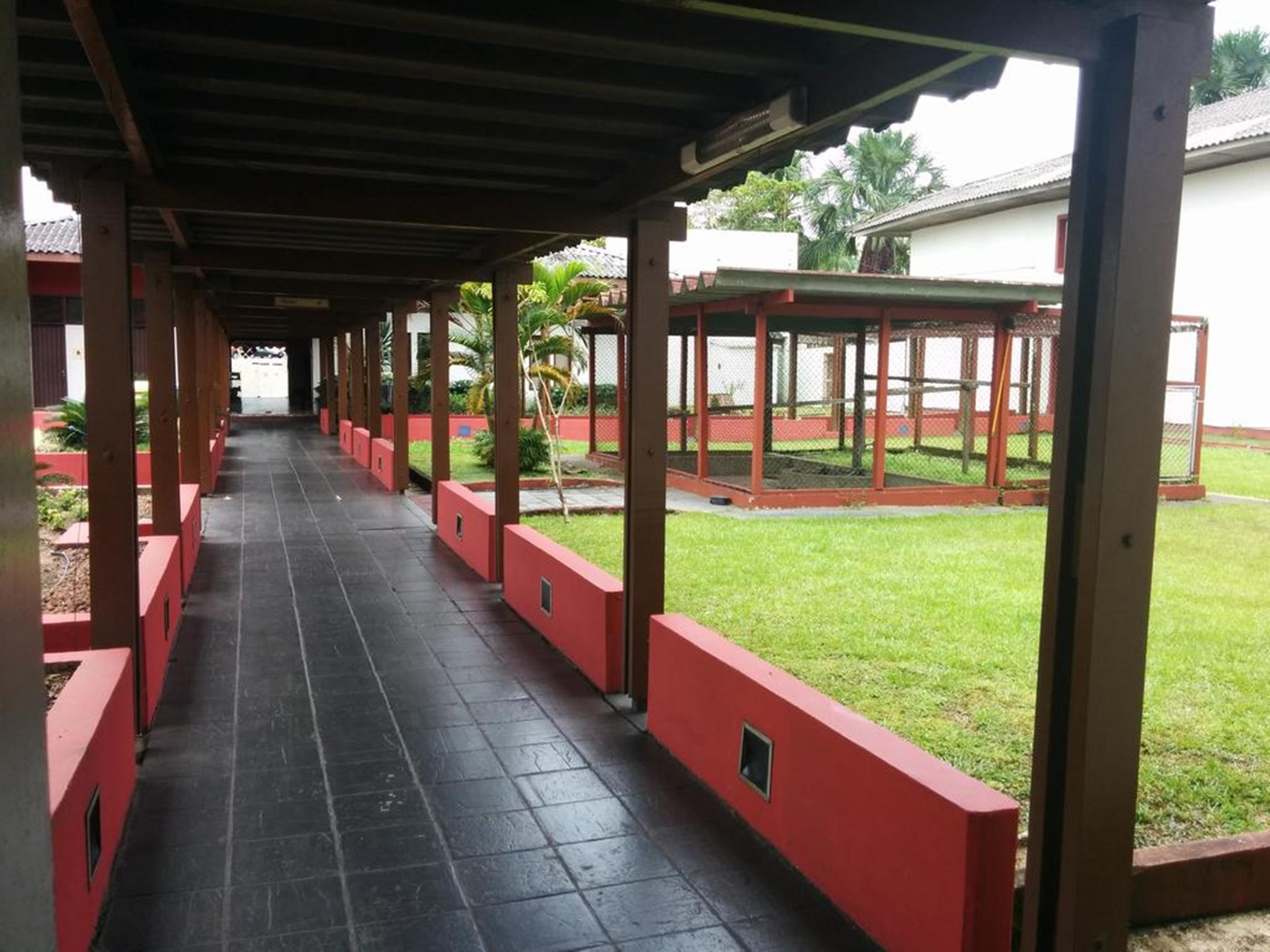 Hotel Vila Rica Belem Ngoại thất bức ảnh